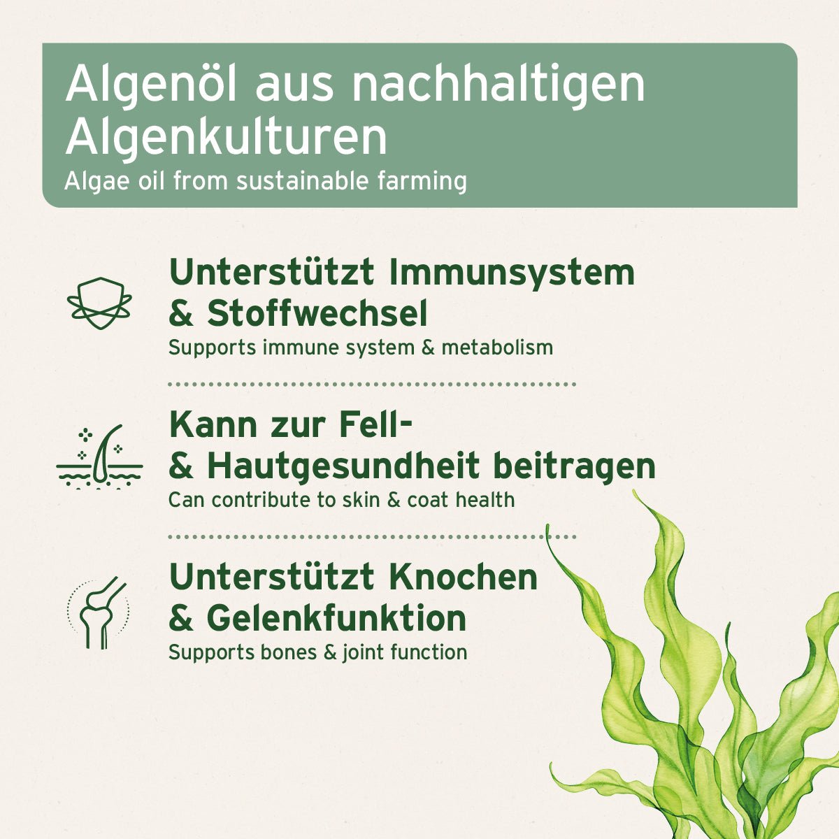 AniForte Algenöl 50 ml  