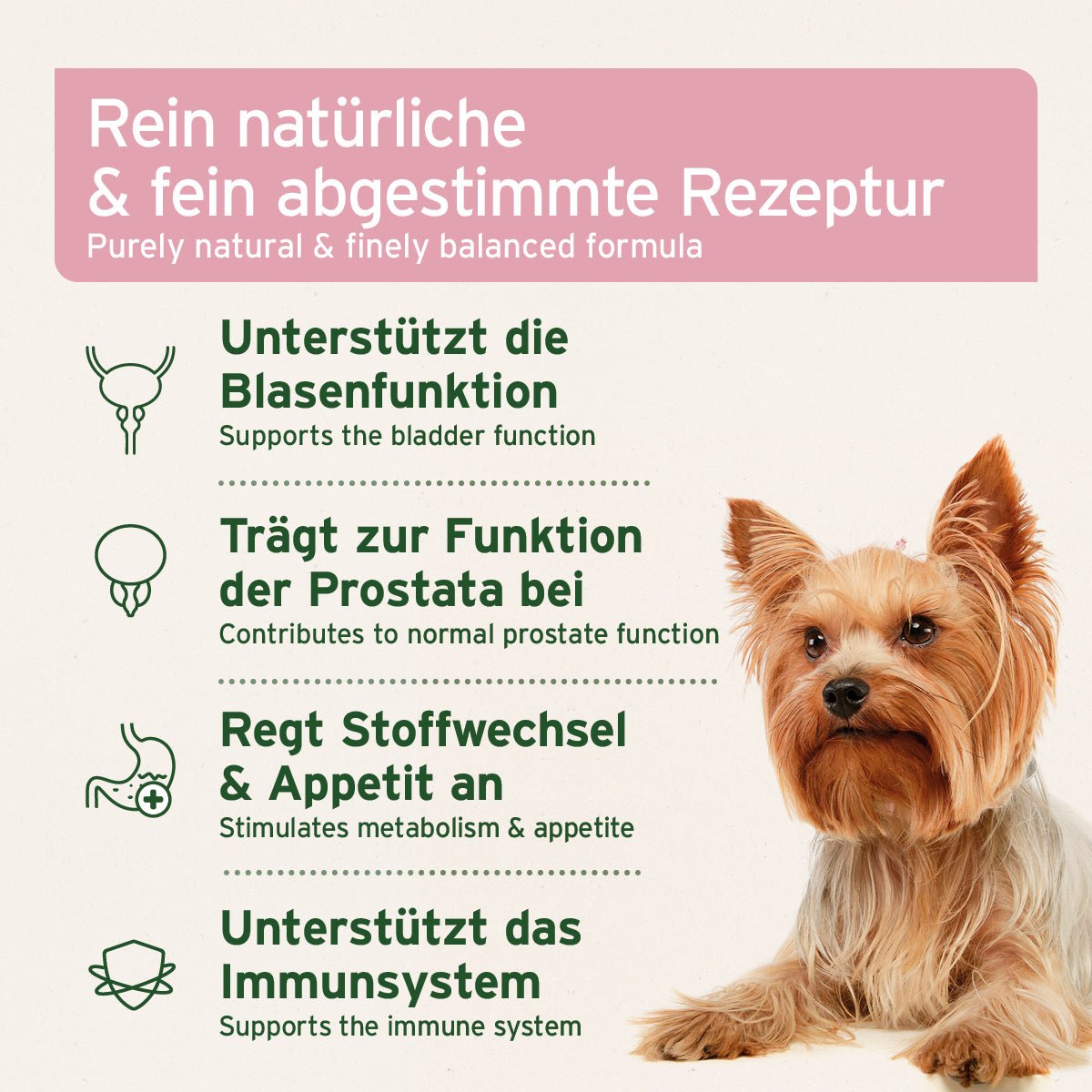 AniForte Blasen-Formel 100 g