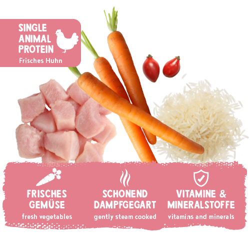 bosch Freshe Schnauze Nassfutter - Huhn mit Reis & Karotten 250 g