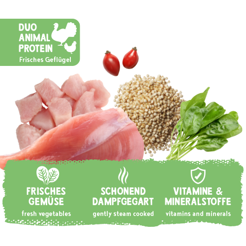 bosch Freshe Schnauze Nassfutter - Pute mit Quinoa & Spinat 250 g