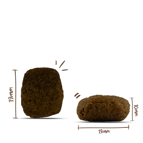 bosch HPC MENUE Adult Rind