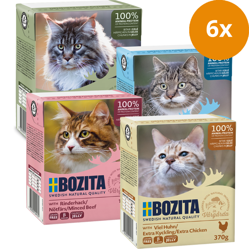 Bozita Megapack Sauce Mix 24er Fisch und Fleisch