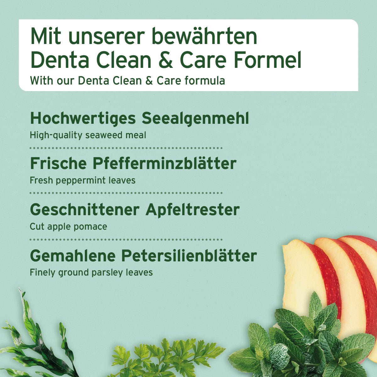AniForte Denta Snack 300g