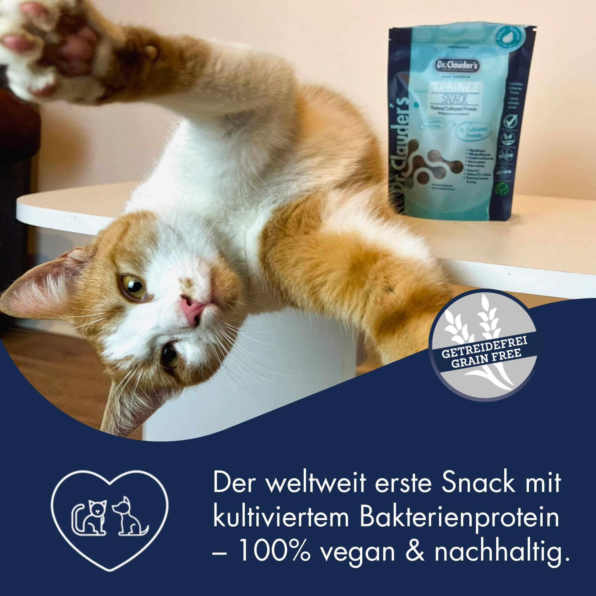Dr.Clauder's Trainee Snack Cultivated Protein 80 g