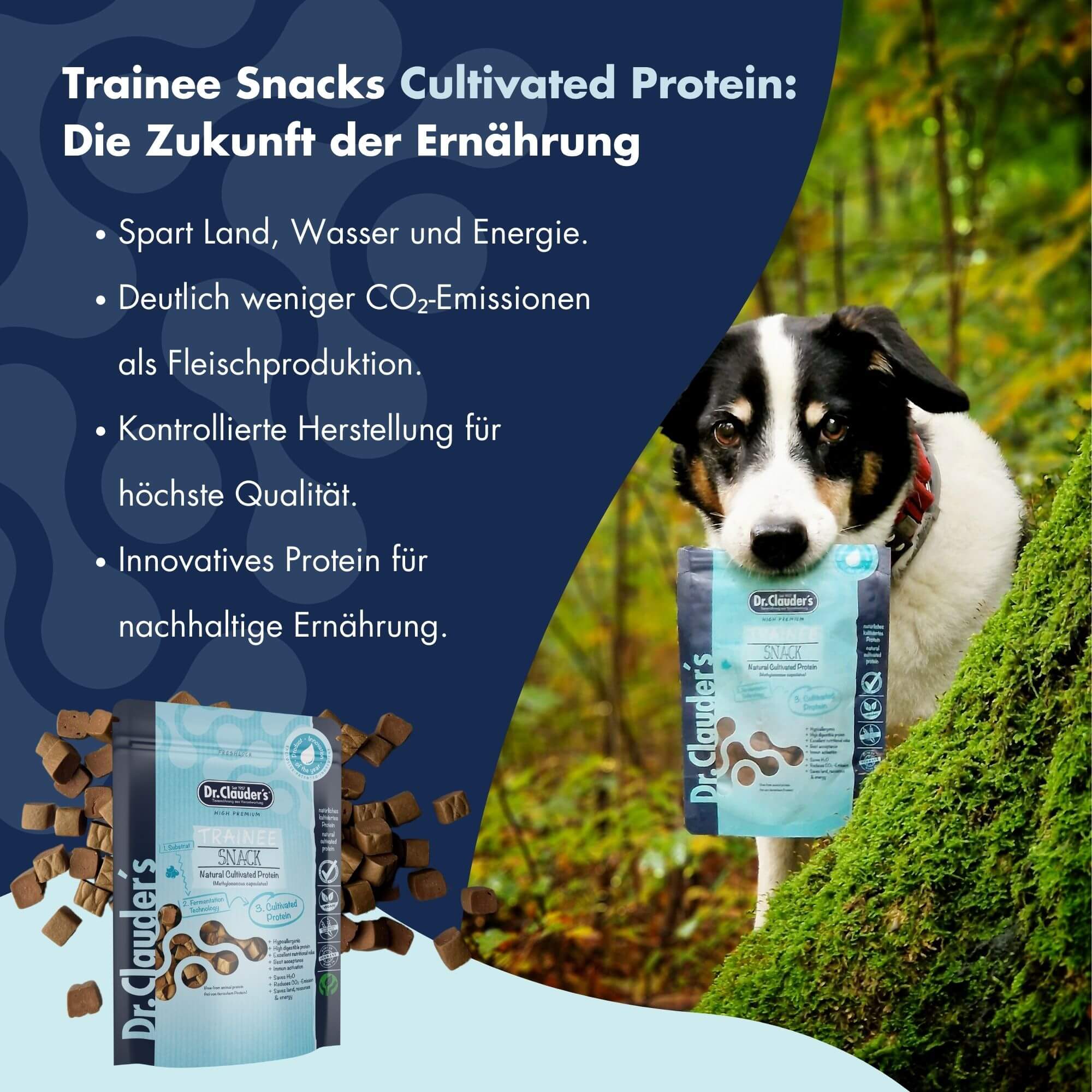 Dr.Clauder's Trainee Snack Cultivated Protein 80 g