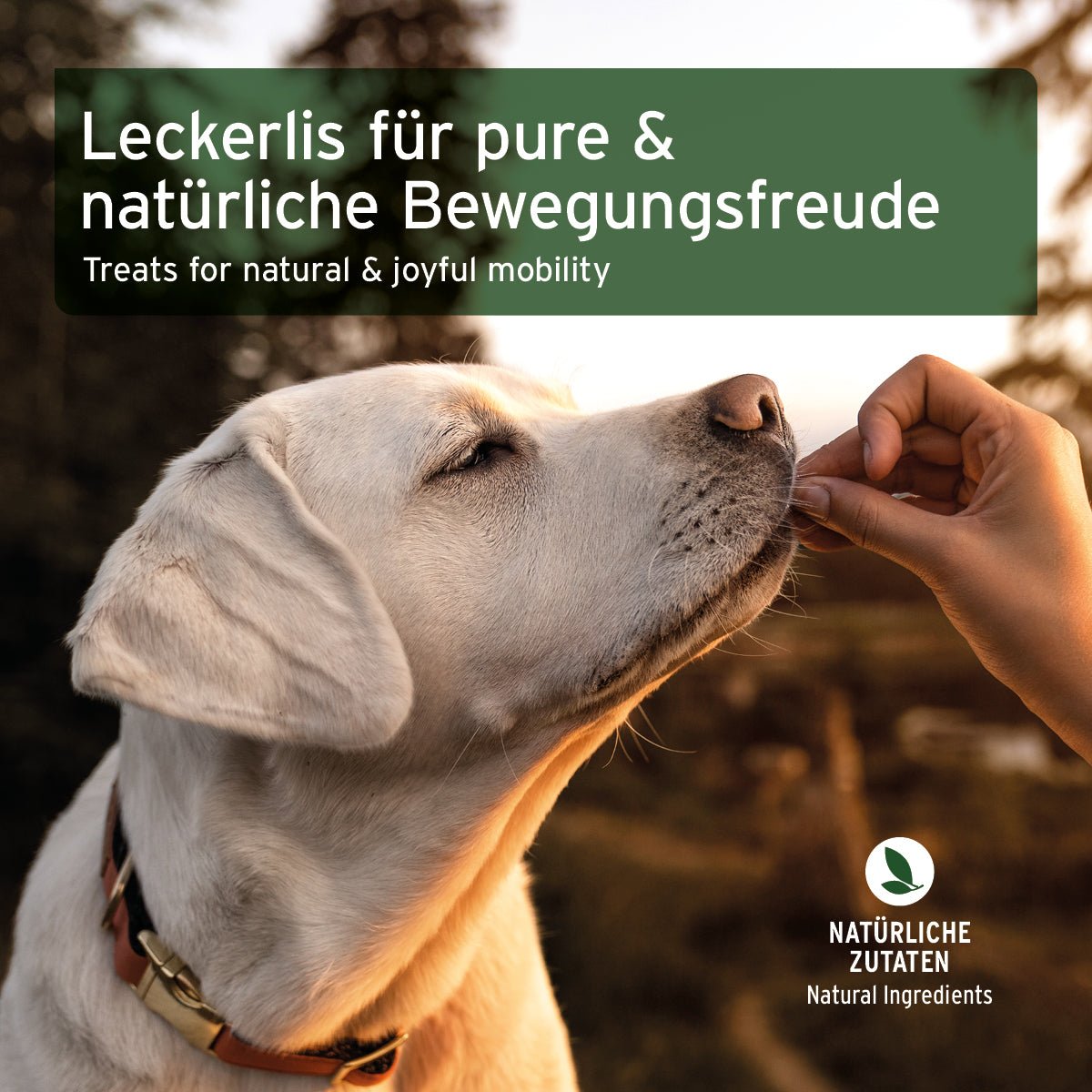 AniForte Gelenk Snack 300 g