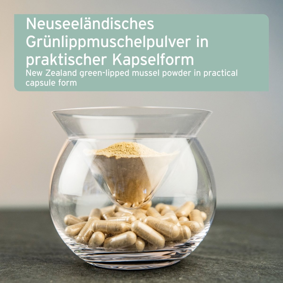 AniForte Grünlippmuschel Kapseln 300 Stk