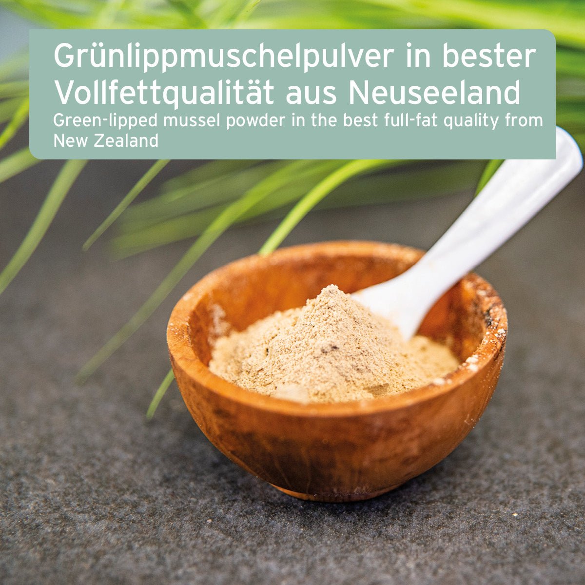 AniForte Grünlippmuschel Pulver 500 g