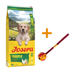 Josera YoungStar 12,5 kg + GRATIS Josera Wurfball
