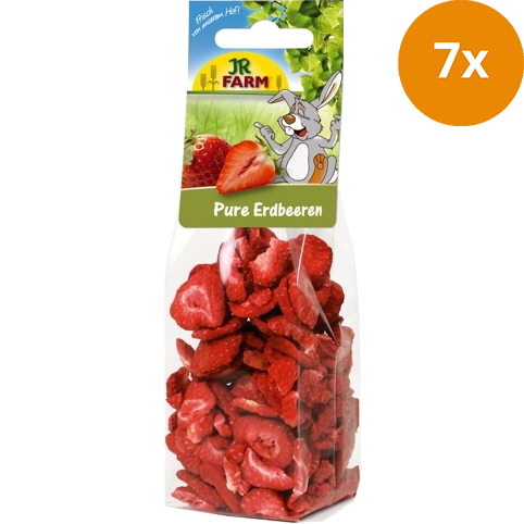 JR FARM Pure Erdbeeren 20 g