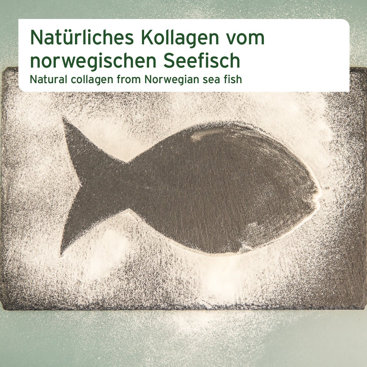 AniForte Kollagen Pulver 250 g