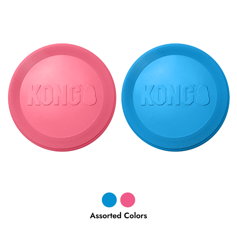KONG Puppy Flyer