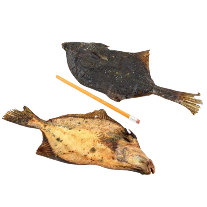Lunderland Flunder