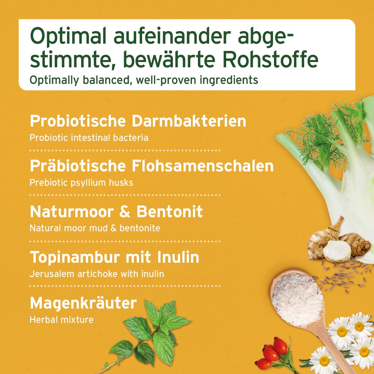 AniForte Magen & Darm Snack 300 g