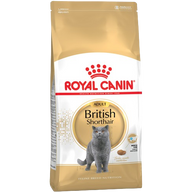 Royal Canin Feline British Shorthair Adult
