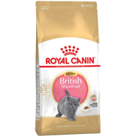 Royal Canin Feline British Shorthair Kitten