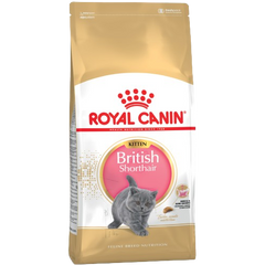 Royal Canin Feline British Shorthair Kitten