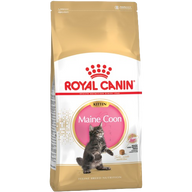 Royal Canin Feline Maine Coon Kitten