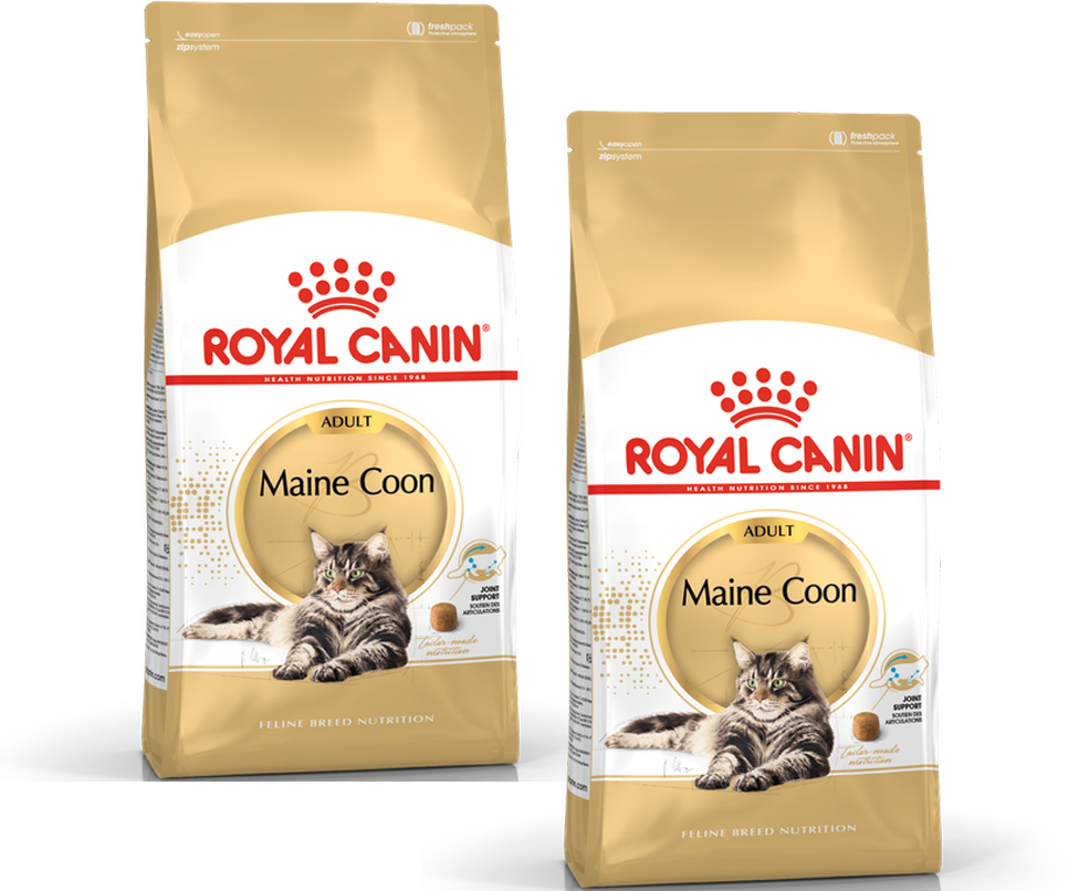 ROYAL CANIN Maine Coon 31