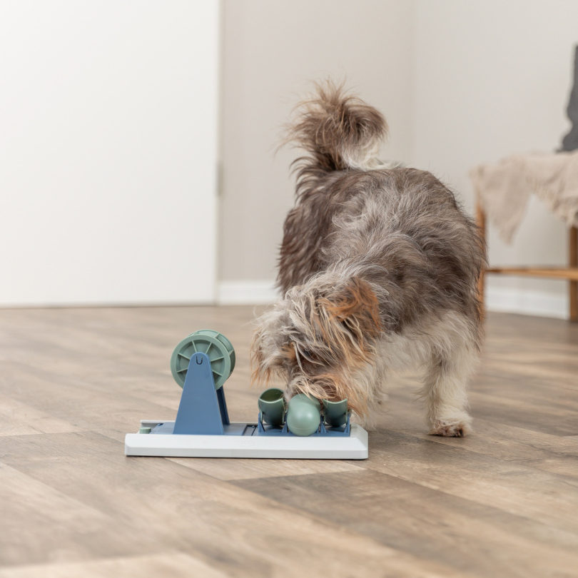 TRIXIE Dog Activity Strategire-Spiel Poker Box Vario 2