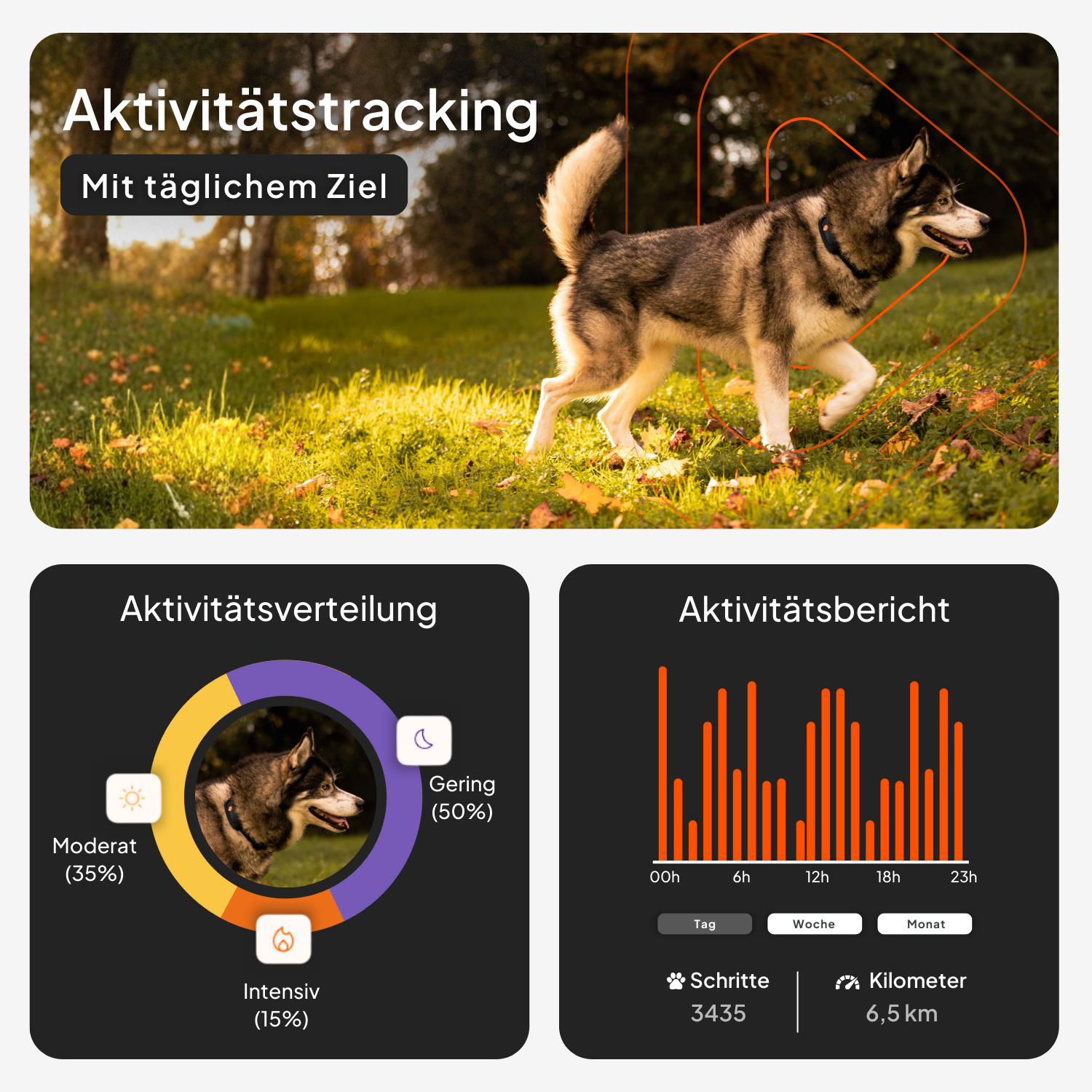 Weenect GPS Tracker XT Dog