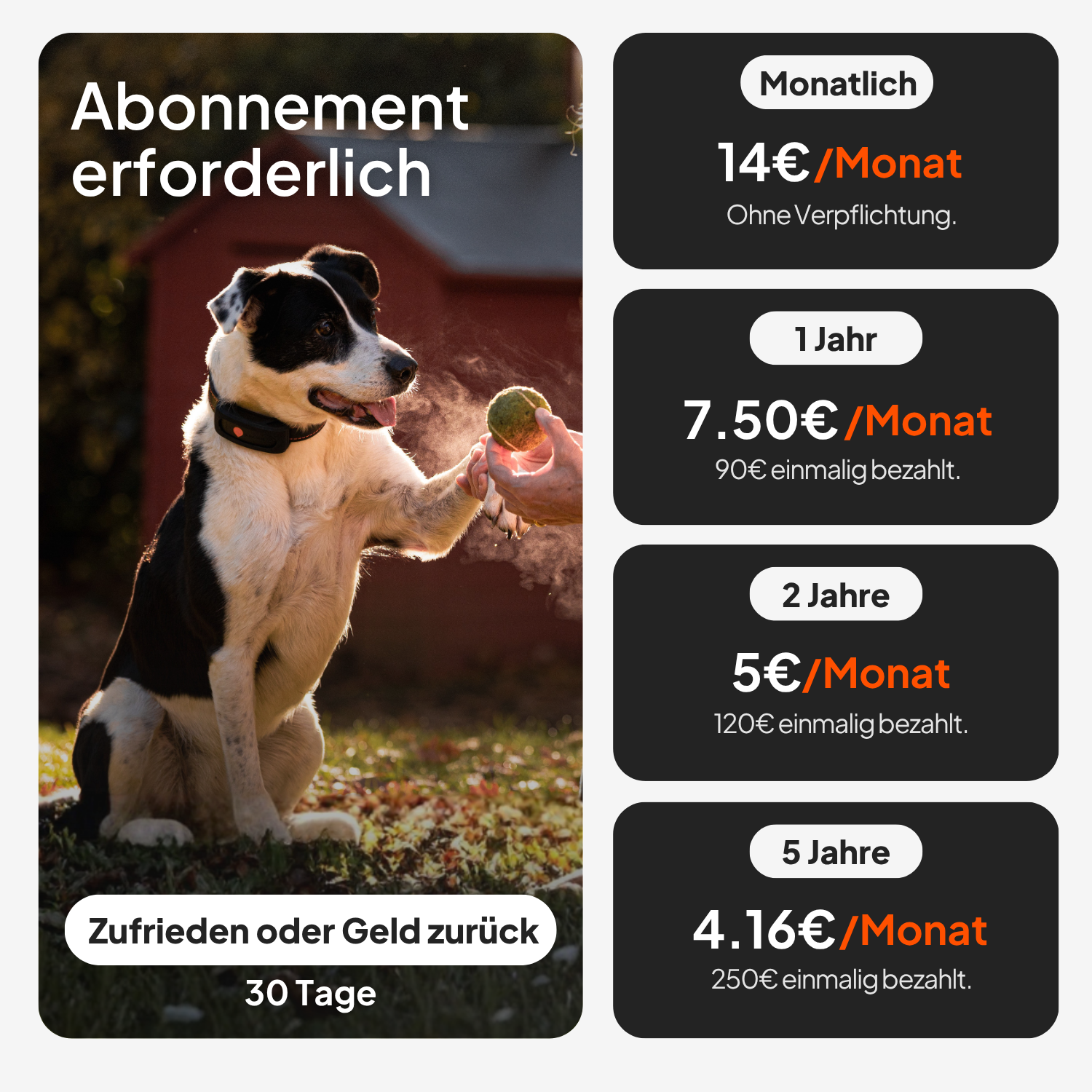 Weenect GPS Tracker XT Dog