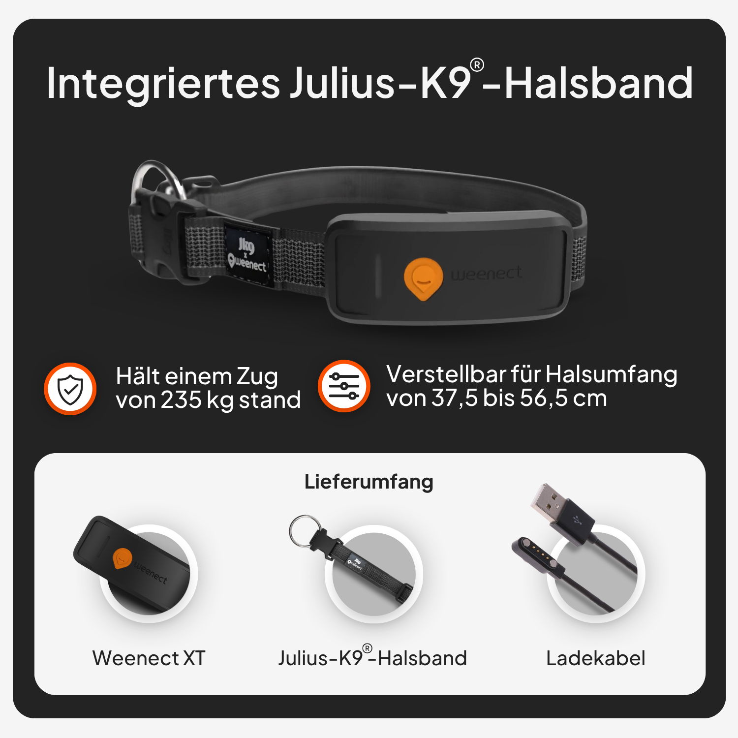 Weenect GPS Tracker XT Dog