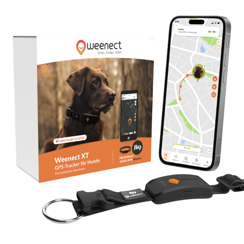 Weenect GPS Tracker XT Dog